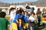 C-Elephants  0072_resize